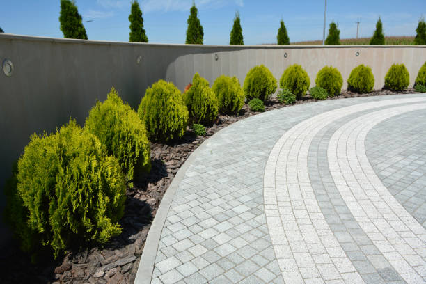 Best Driveway Sealing and Maintenance in Warrenton, OR